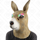 Deluxe Novelty Latex Head Kangaroo Mask | $5 | Amazon
LED Eyelashes | $10 | Amazon | Promo code MOGYMQFF